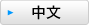 中文